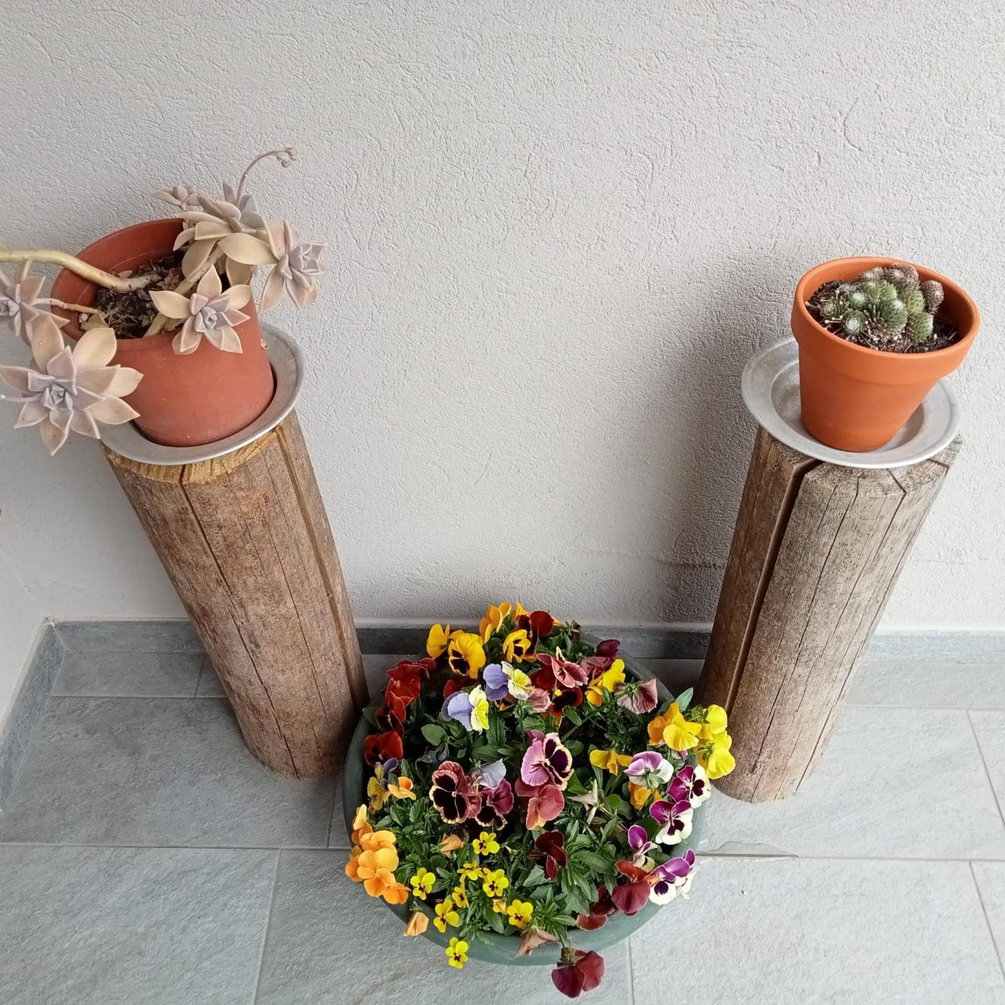 Hotel Santino'S House Peveragno Zewnętrze zdjęcie